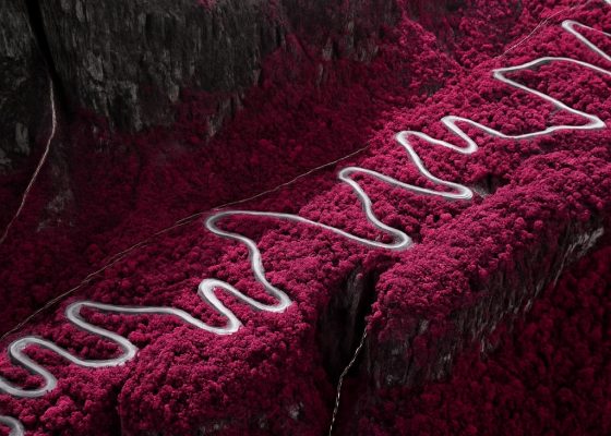 Norwegen sepentinen pink